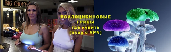гашик Алексеевка