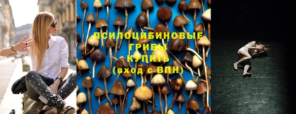 гашик Алексеевка