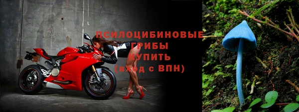 гашик Алексеевка
