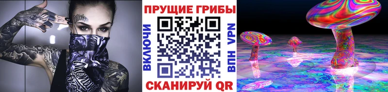 Псилоцибиновые грибы мицелий  Медынь 